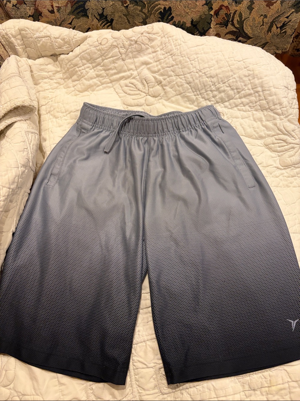 Old Navy Active Light Gray Performance Shorts